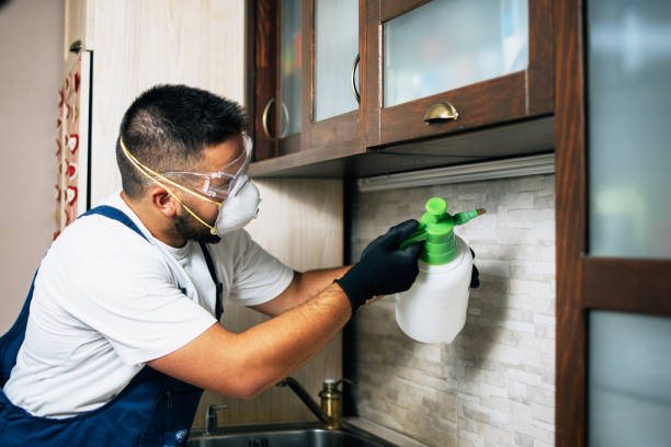 Best Best Pest Control Near Me  in Port Barrington, IL