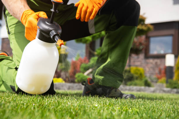 Reliable Port Barrington, IL Pest Control Solutions