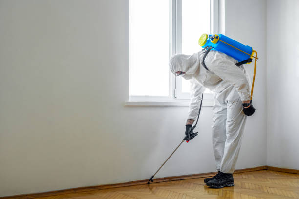Best Local Pest Control Services  in Port Barrington, IL