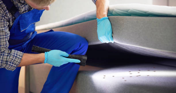 Best Local Pest Control Services  in Port Barrington, IL