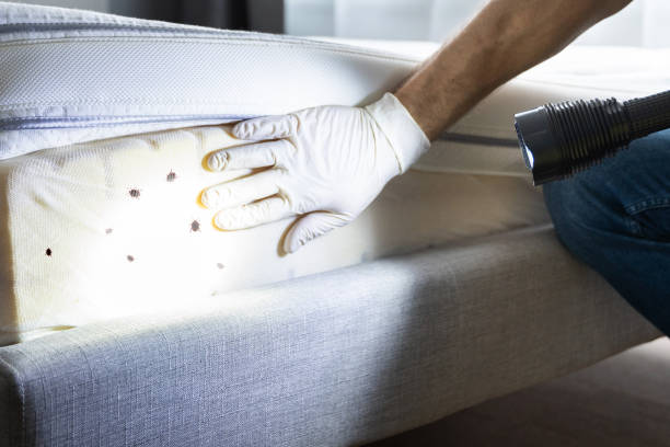 Best Cockroach Control Services  in Port Barrington, IL