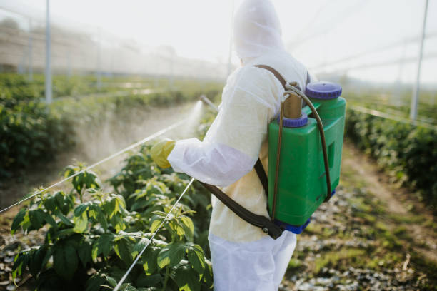 Best Wildlife Control Services  in Port Barrington, IL